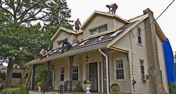 Best Roof Repair Services  in Hermantown, MN