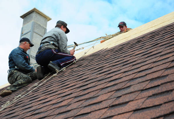 Best Tile Roofing Contractor  in Hermantown, MN