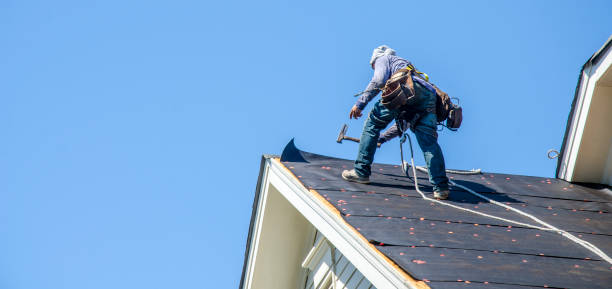 Best Roof Maintenance Services  in Hermantown, MN